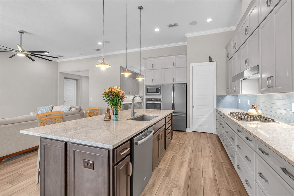 5303 Osprey Ridge Drive Lithia, FL 33547 - Photo 17 of 56