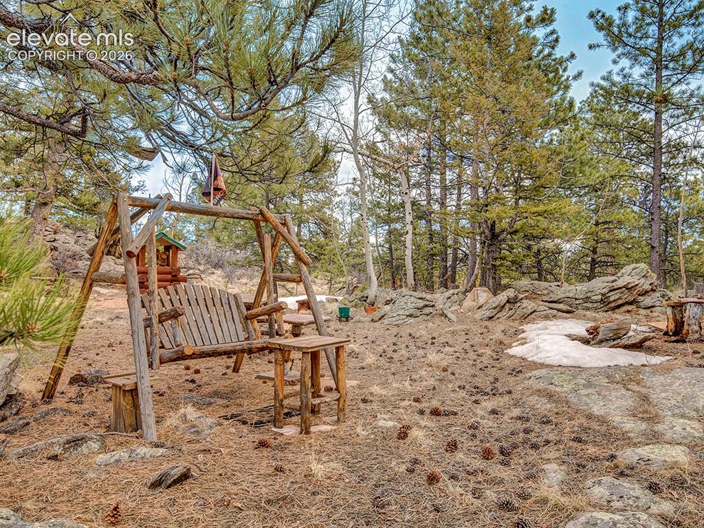 1462 Pulver Road Lake George, CO 80827 - Photo 22 of 25 a view of backyard with wooden fence and large trees