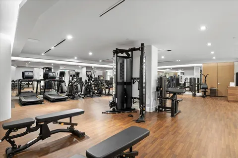 a living room with a couch and a potted plant