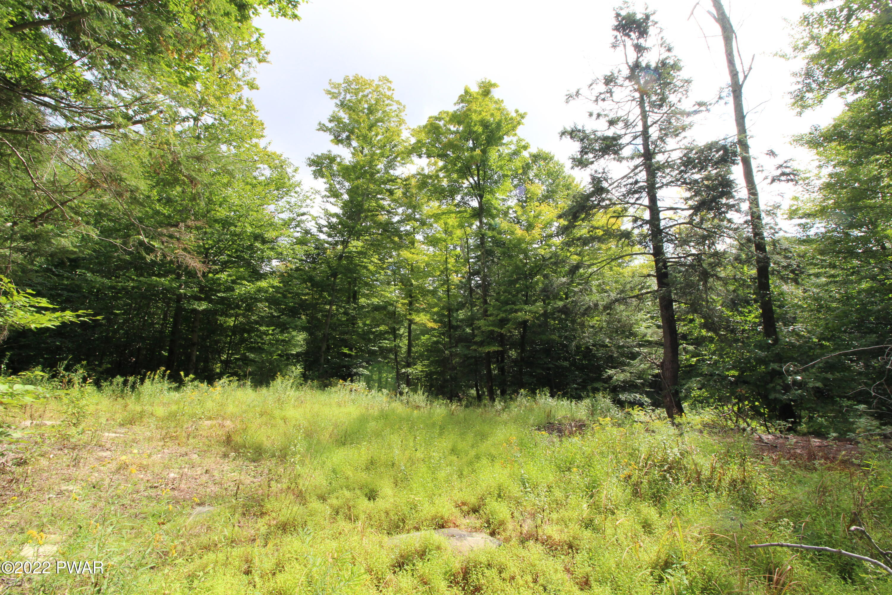 South Turnpike Road Newfoundland, PA 18445 - Photo 11 of 13