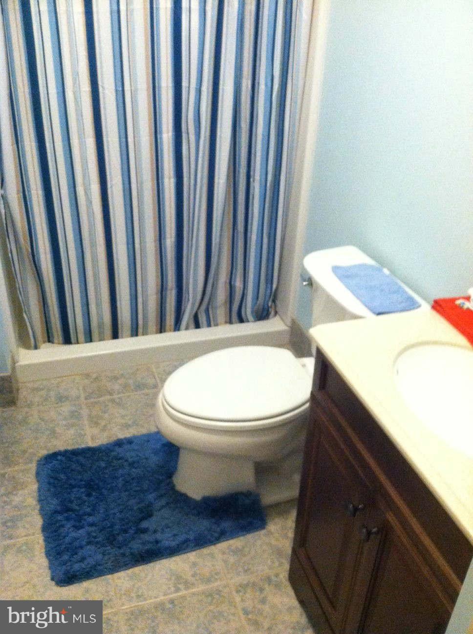 640 Catron Ridge Road Bentonville, VA 22610 - Photo 10 of 19 Bath
