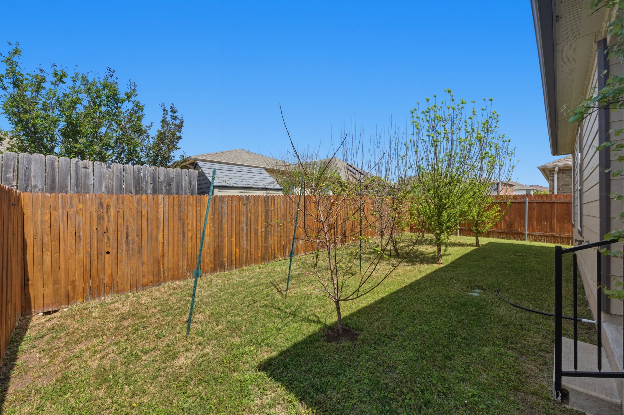 14620 Goshawk Drive Pflugerville, TX 78660 - Photo 21 of 24 a backyard of a house with lots of green space