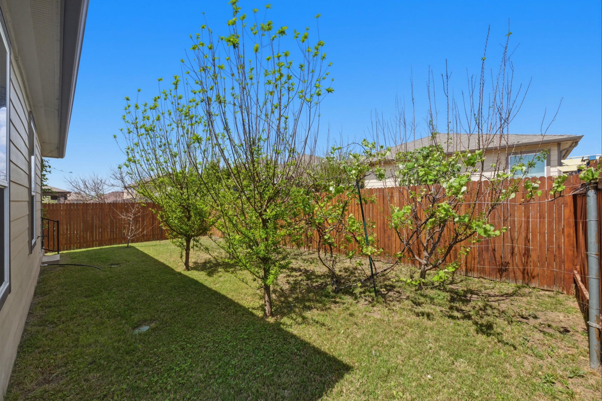 14620 Goshawk Drive Pflugerville, TX 78660 - Photo 23 of 24