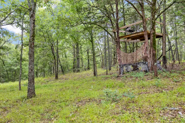 a backyard of a house with trees and plants