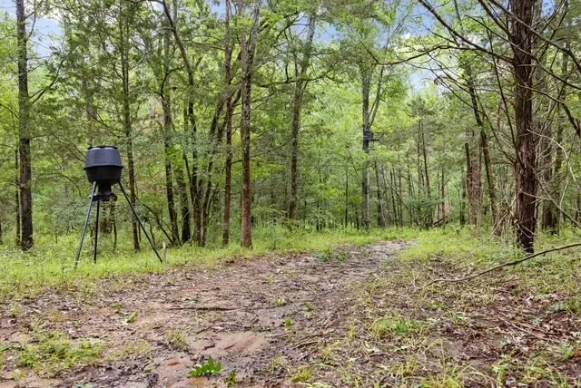 a view of outdoor space and green space