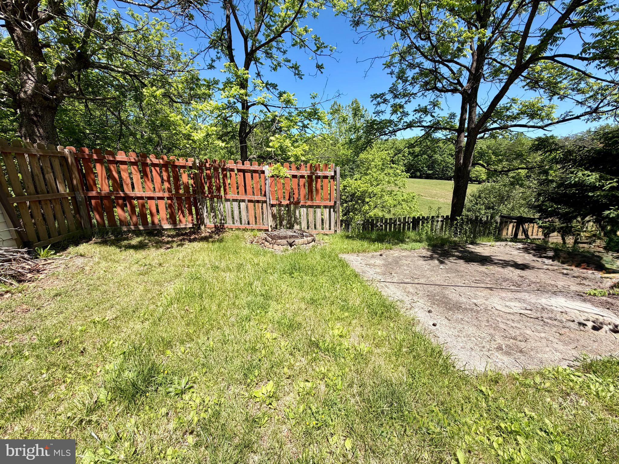 12663 St Patricks Road Southeast Little Orleans, MD 21766 - Photo 29 of 36 Side Yard