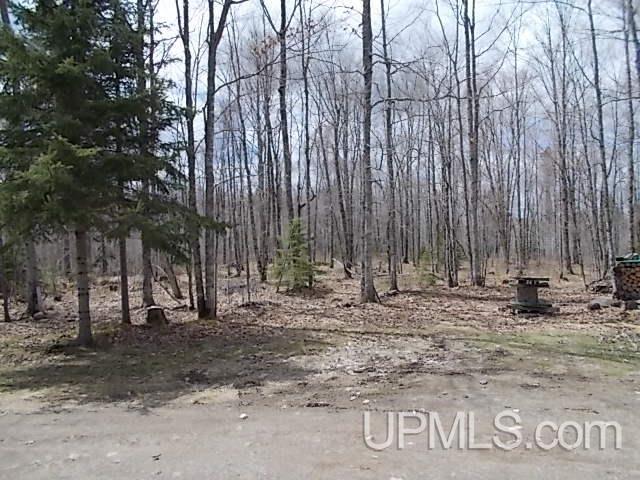 159 Deer Lake Road Crystal Falls, MI 49920 - Photo 13 of 16