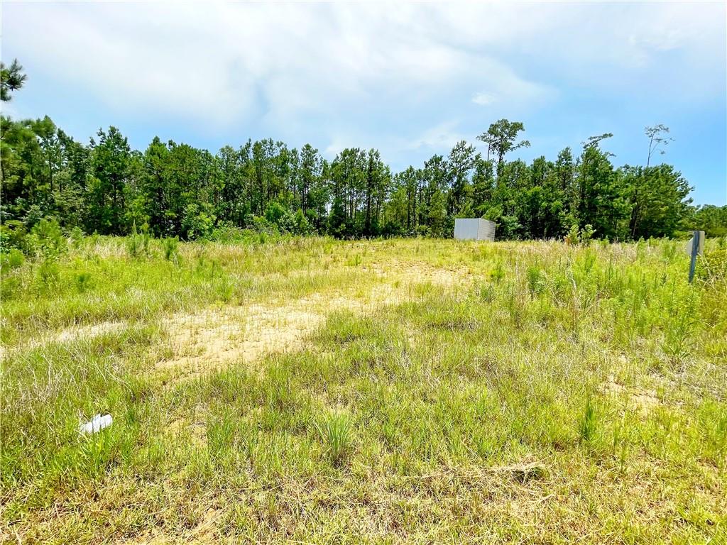 1004 Natalie Court Slidell, LA 70461 - Photo 1 of 4
