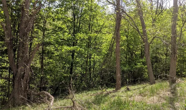 $59,900 | 0 West Seneca Turnpike, Onondaga, NY 13215
