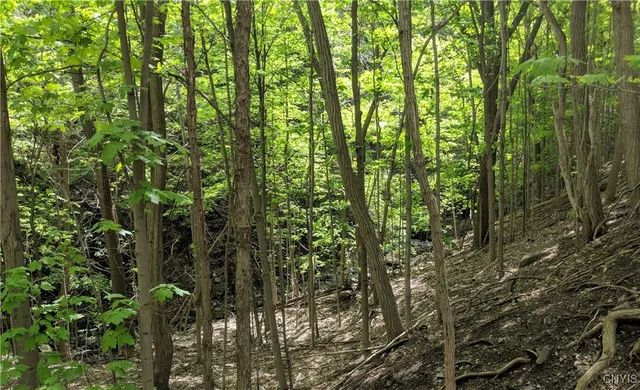 $99,900 | 0 West Seneca Turnpike, Onondaga, NY 13215