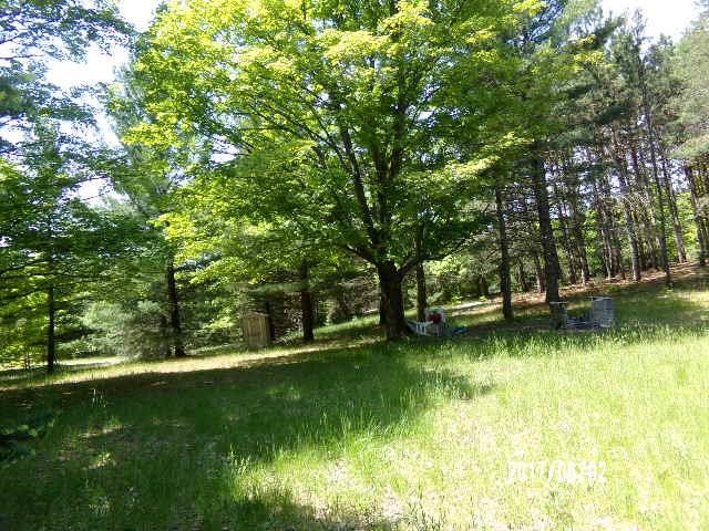 0 Viaduct Road Mesick, MI 49668 - Photo 13 of 19 1833252-12.JPG