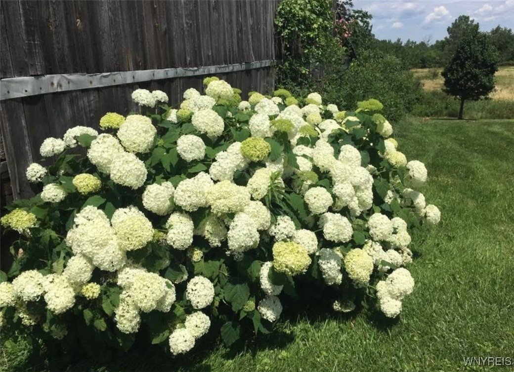 1571 Poland Hill Road Bennington, NY 14011 - Photo 30 of 39