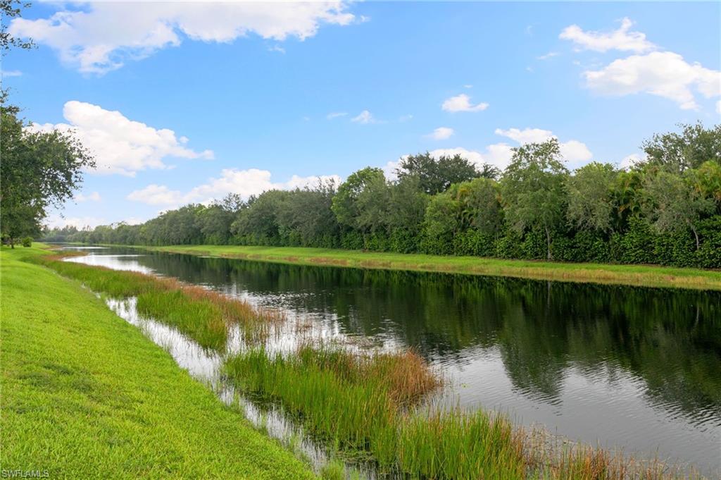 2862 Aviamar Circle Naples, FL 34114 - Photo 38 of 48 Water view with a forest