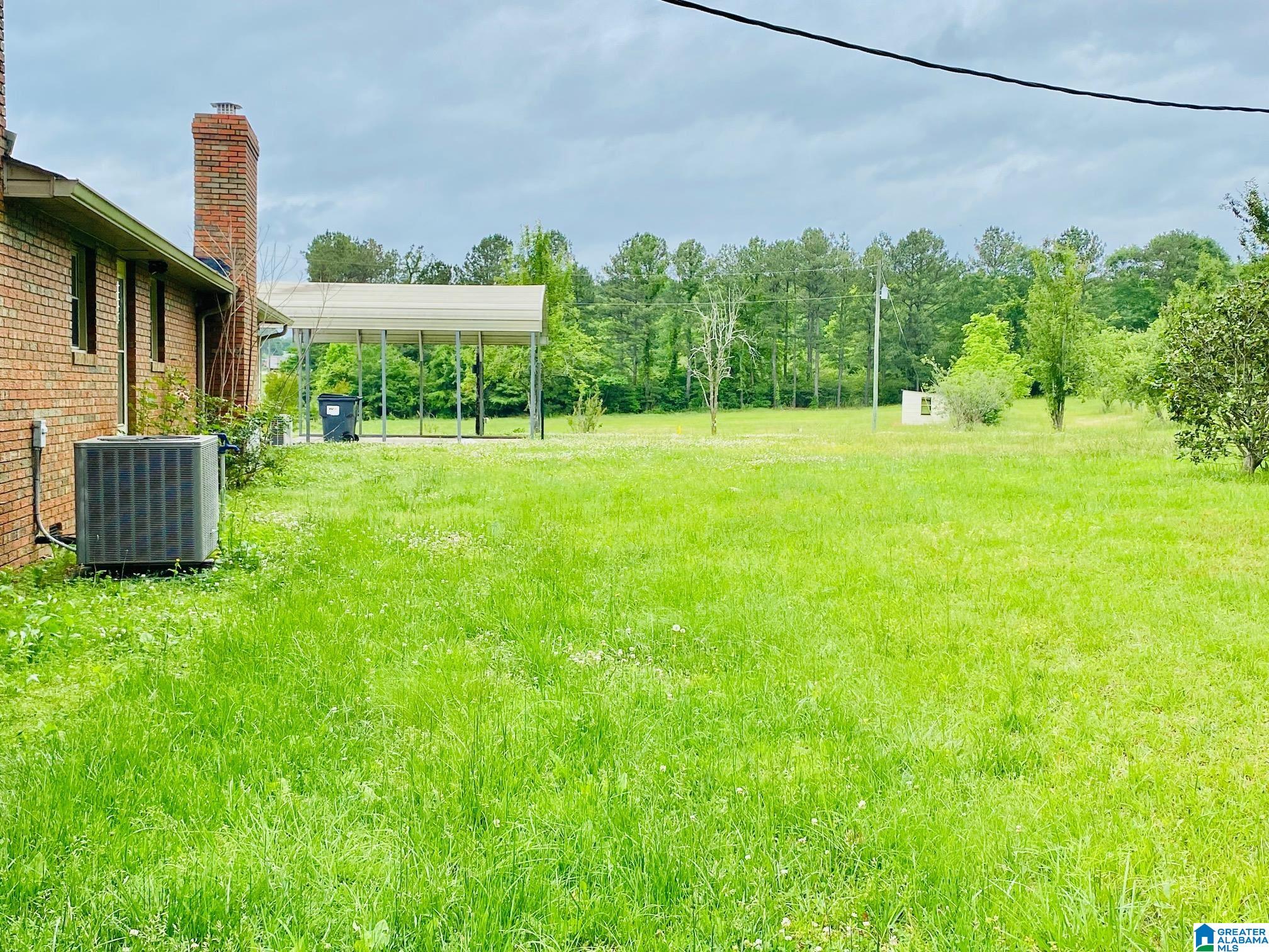 8969 Highway 431 Heflin, AL 36264 - Photo 3 of 33