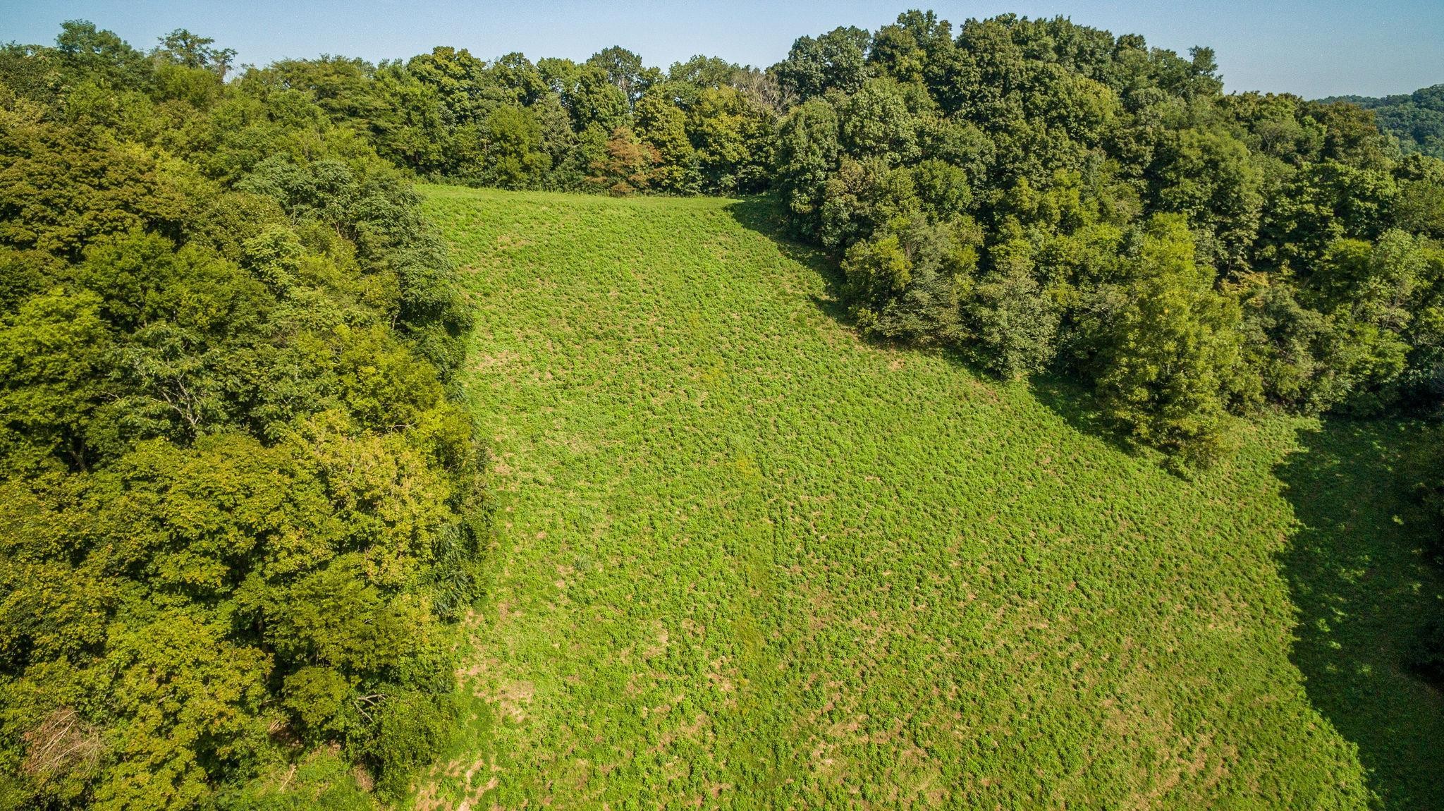 1 Wolf Creek Road Silver Point, TN 38582 - Photo 22 of 25