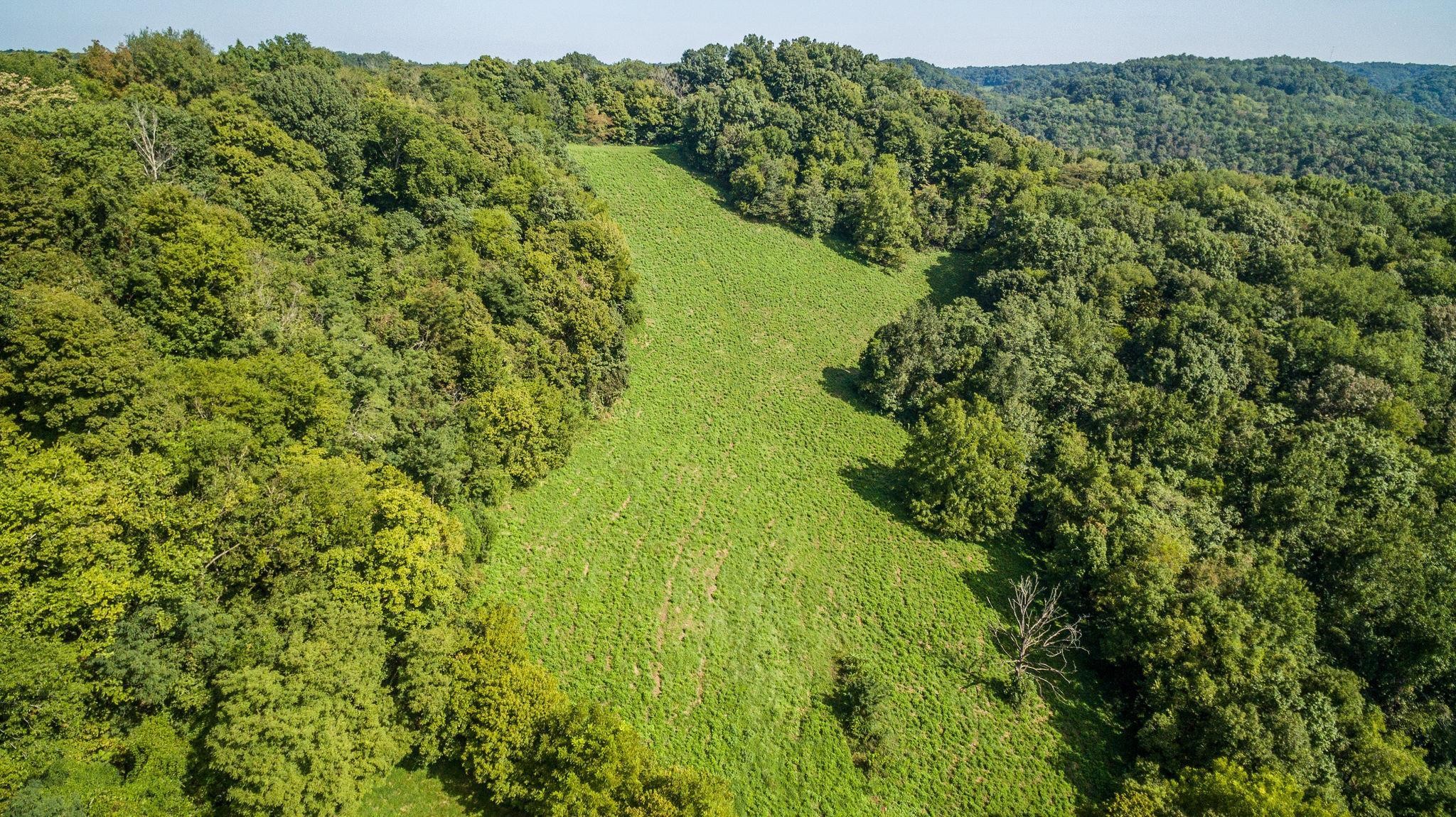 1 Wolf Creek Road Silver Point, TN 38582 - Photo 6 of 25