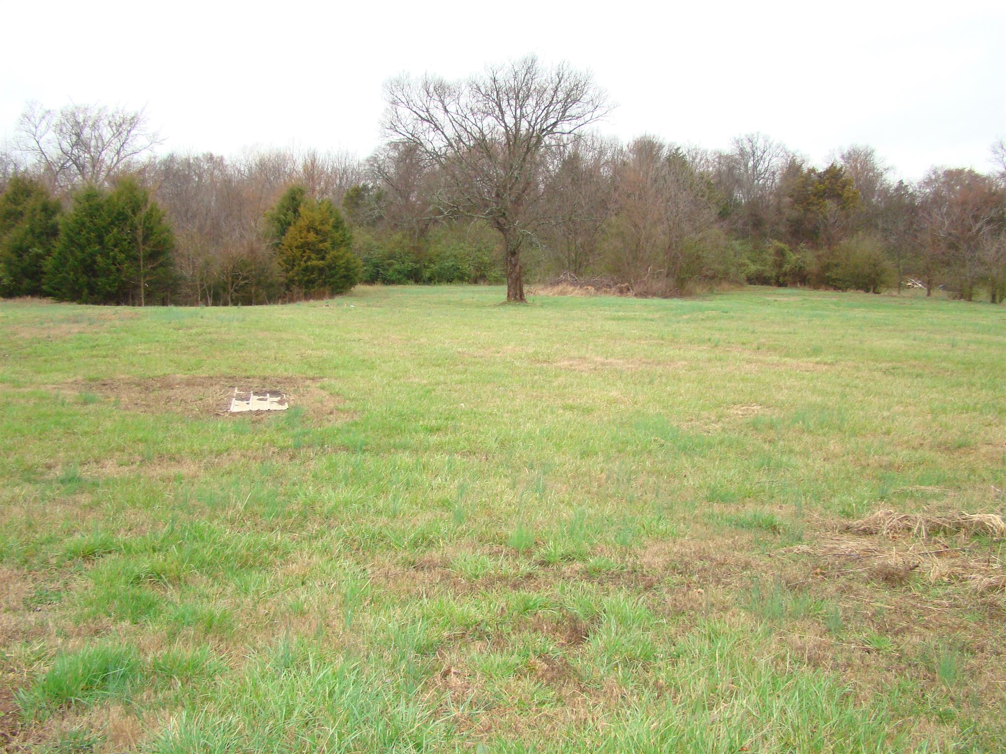 3579 Midland Road Bell Buckle, TN 37020 - Photo 19 of 30 a view of a field with an trees in the background