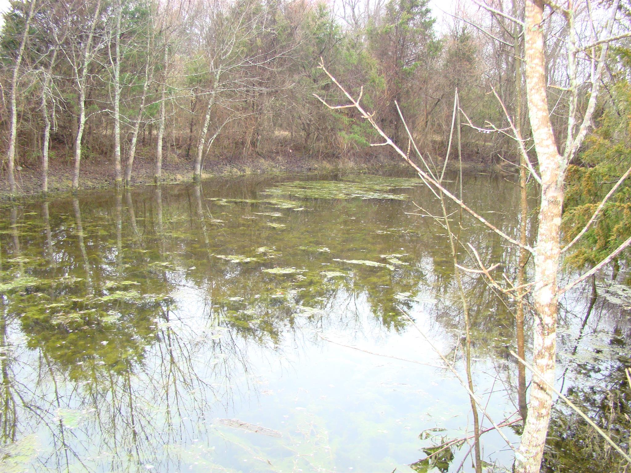 3579 Midland Road Bell Buckle, TN 37020 - Photo 20 of 30 a view of pool