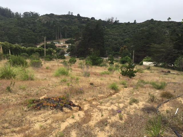 229 Live Oak Road Watsonville, CA 95076 - Photo 5 of 6 Gallery Image 5