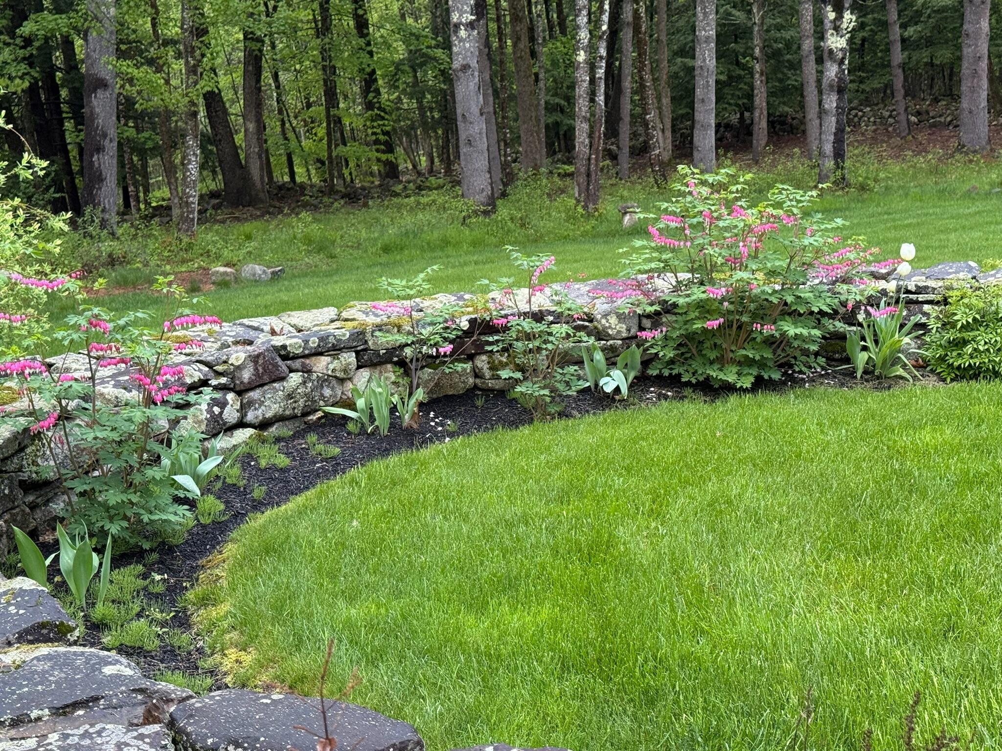 227 Benson Road Manchester, ME 04351 - Photo 4 of 91 IMG_1975