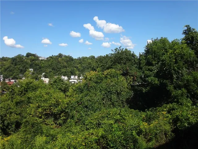 a view of a bunch of trees in a field