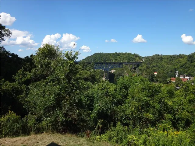 a view of a big yard