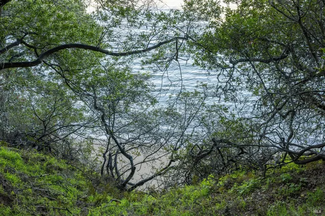 $8,750,000 | 2800 Paradise Drive, Tiburon, CA 94920