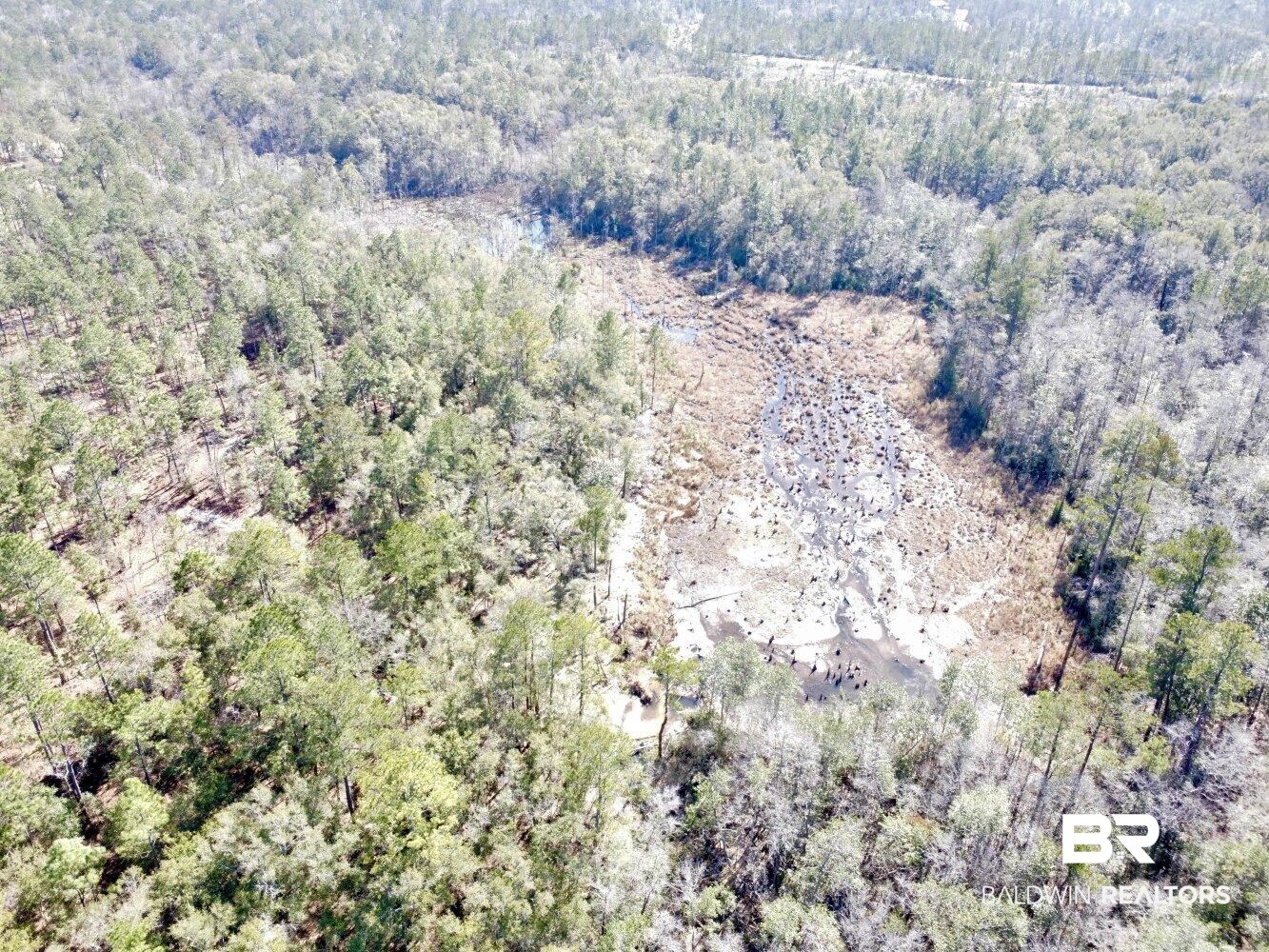 0 Dixon Road Bay Minette, AL 36507 - Photo 6 of 50