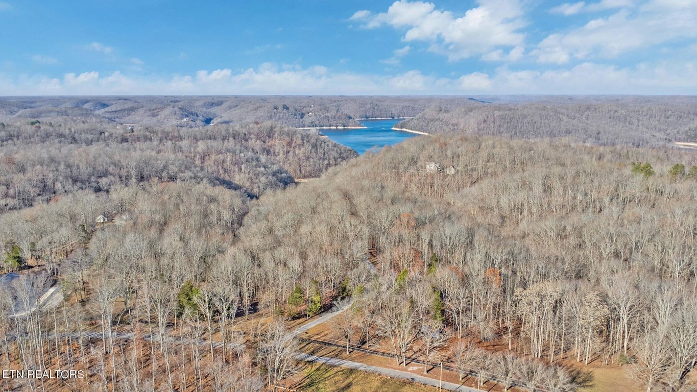 1375 Back Bone Road Sparta, TN 38583 - Photo 47 of 52 a view of a dry yard with trees