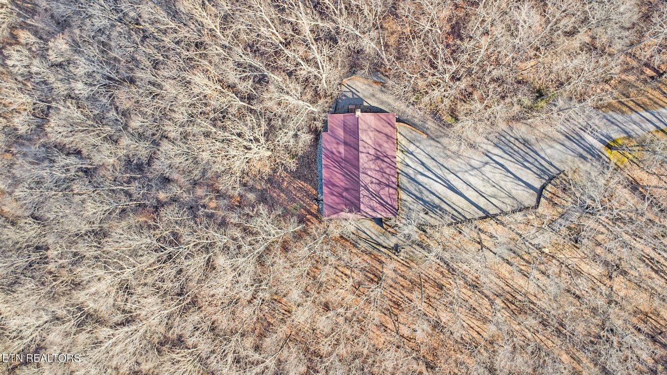 1375 Back Bone Road Sparta, TN 38583 - Photo 49 of 52 a bench with white trees