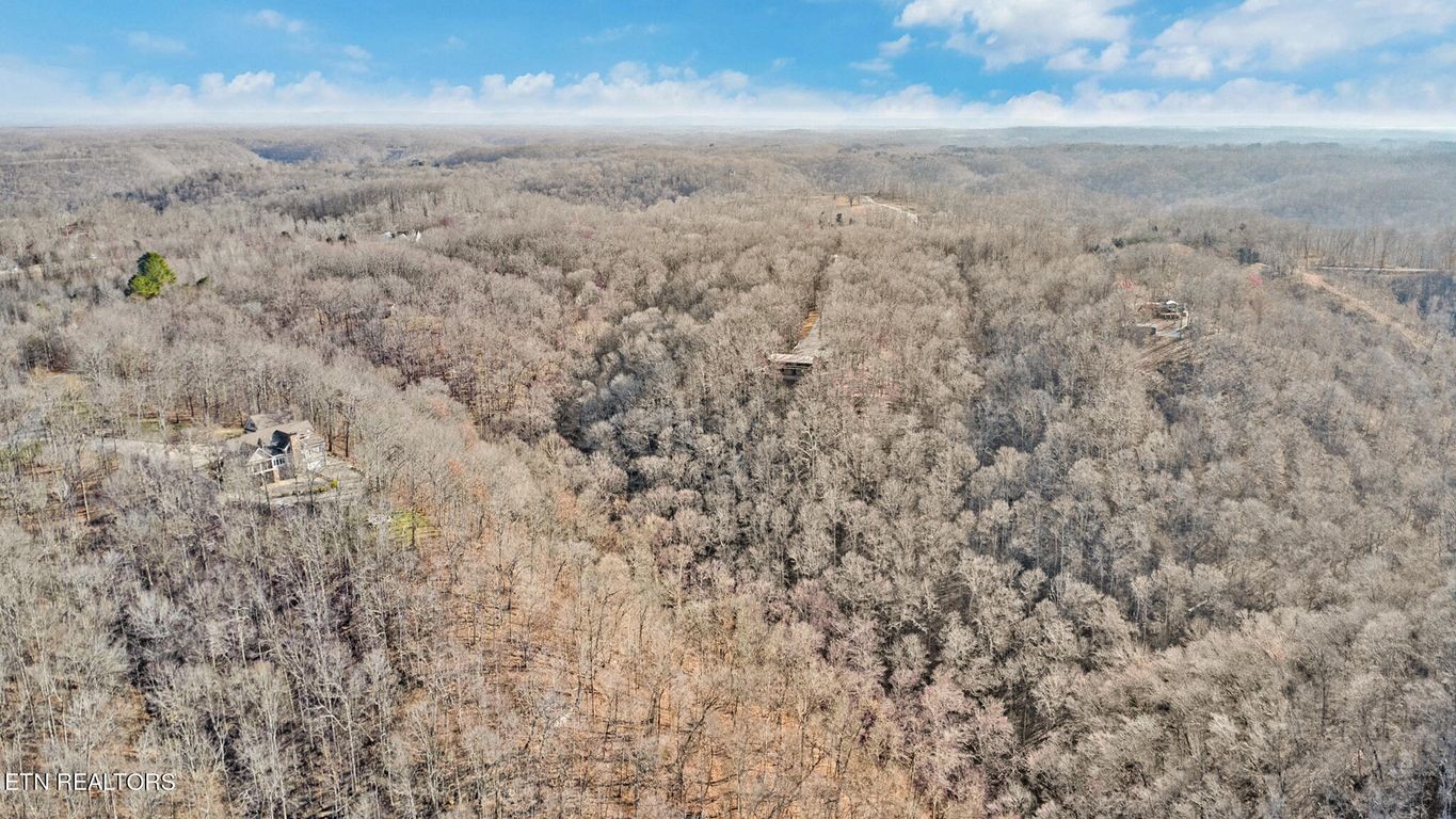 1375 Back Bone Road Sparta, TN 38583 - Photo 51 of 52 a view of a dry yard