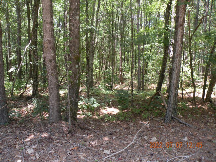 El Clair Farm Road Jasper, AL 35504 - Photo 1 of 1 Gallery Image 1