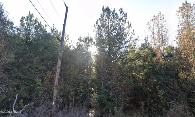 $335,625 | 0 Oliver Street, Hampton, SC 29924