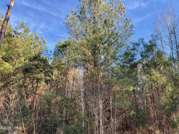 $335,625 | 0 Oliver Street, Hampton, SC 29924