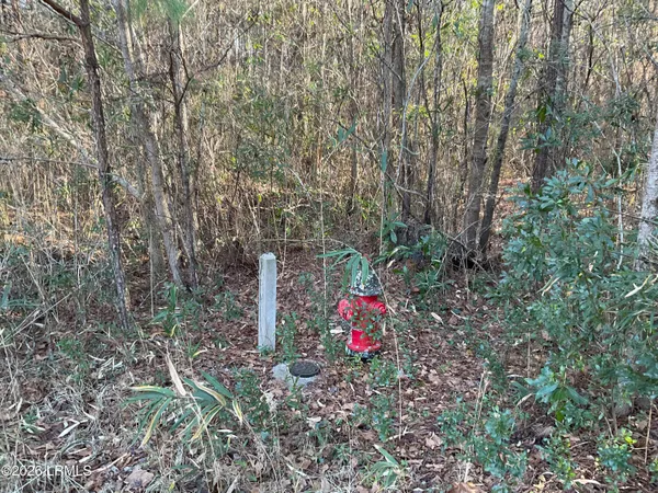 $335,625 | 0 Oliver Street, Hampton, SC 29924