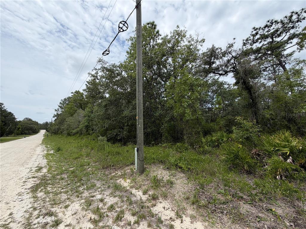18011 Nutcracker Road Weeki Wachee, FL 34614 - Photo 5 of 10