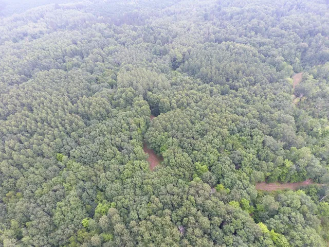 $399,900 | Tbd Doetch Lane, Gordon, WI 54838