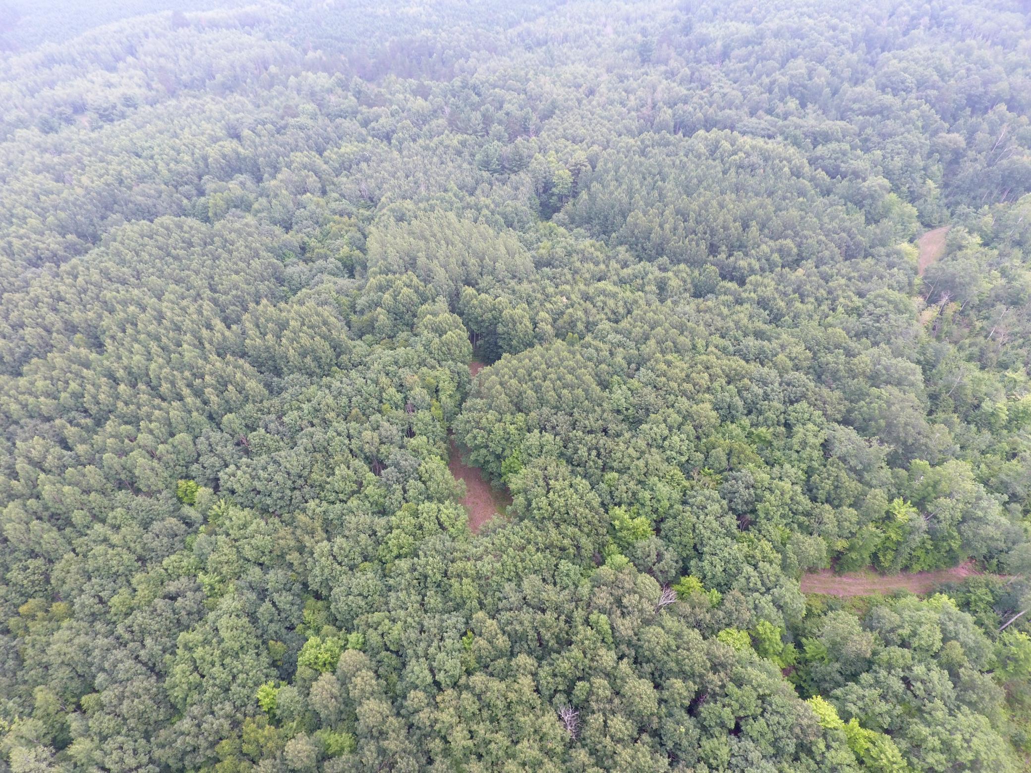 Tbd Doetch Lane Gordon, WI 54838 - Photo 13 of 93