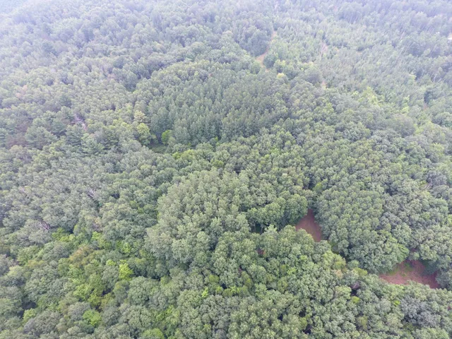 $399,900 | Tbd Doetch Lane, Gordon, WI 54838