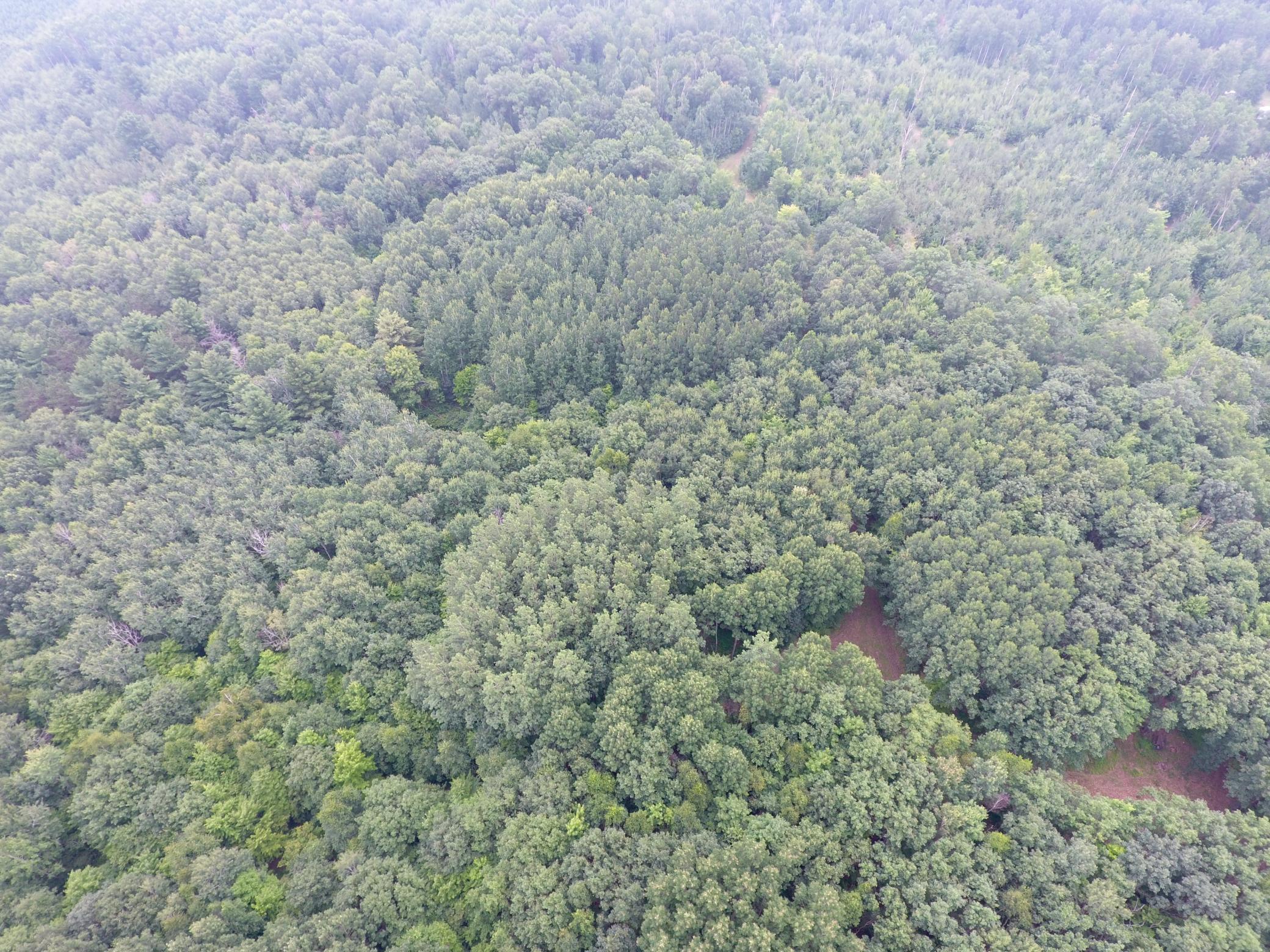 Tbd Doetch Lane Gordon, WI 54838 - Photo 14 of 93