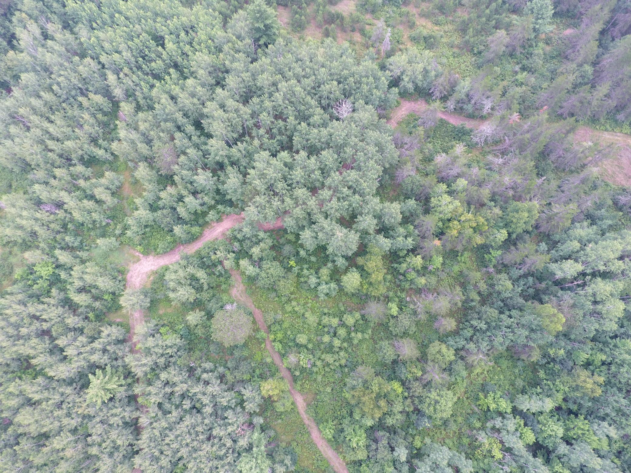 Tbd Doetch Lane Gordon, WI 54838 - Photo 18 of 93