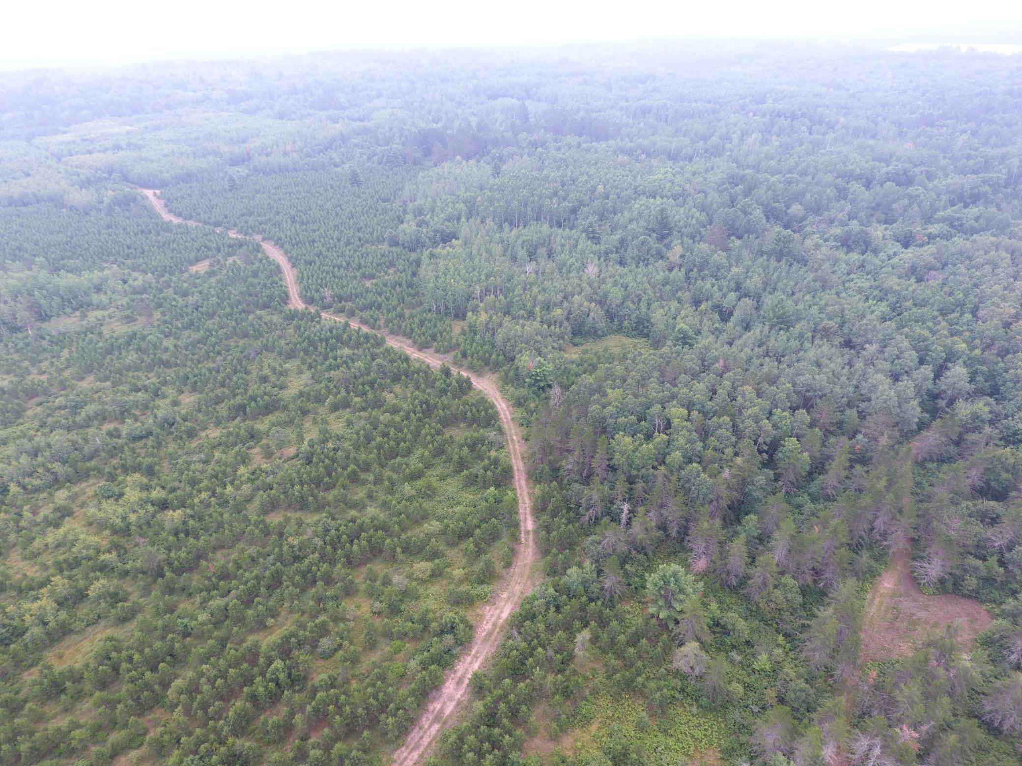 Tbd Doetch Lane Gordon, WI 54838 - Photo 19 of 93