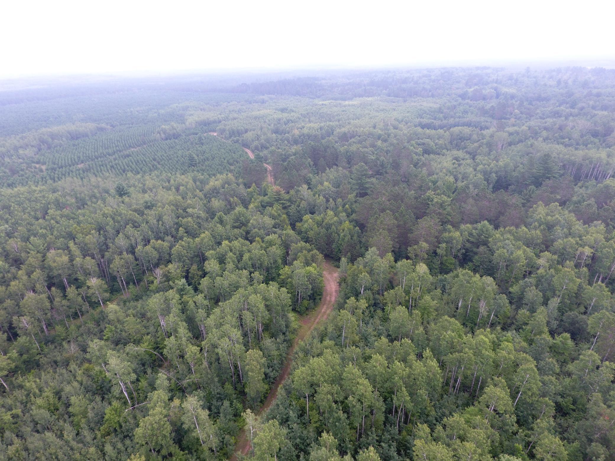 Tbd Doetch Lane Gordon, WI 54838 - Photo 22 of 93