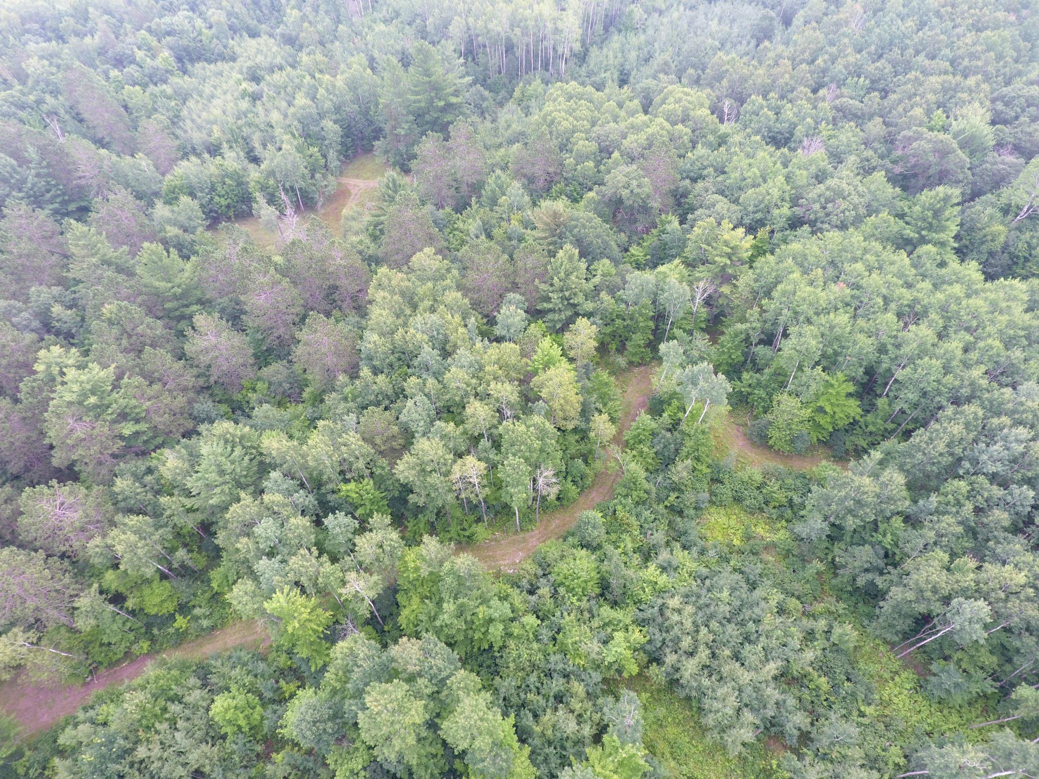 Tbd Doetch Lane Gordon, WI 54838 - Photo 23 of 93