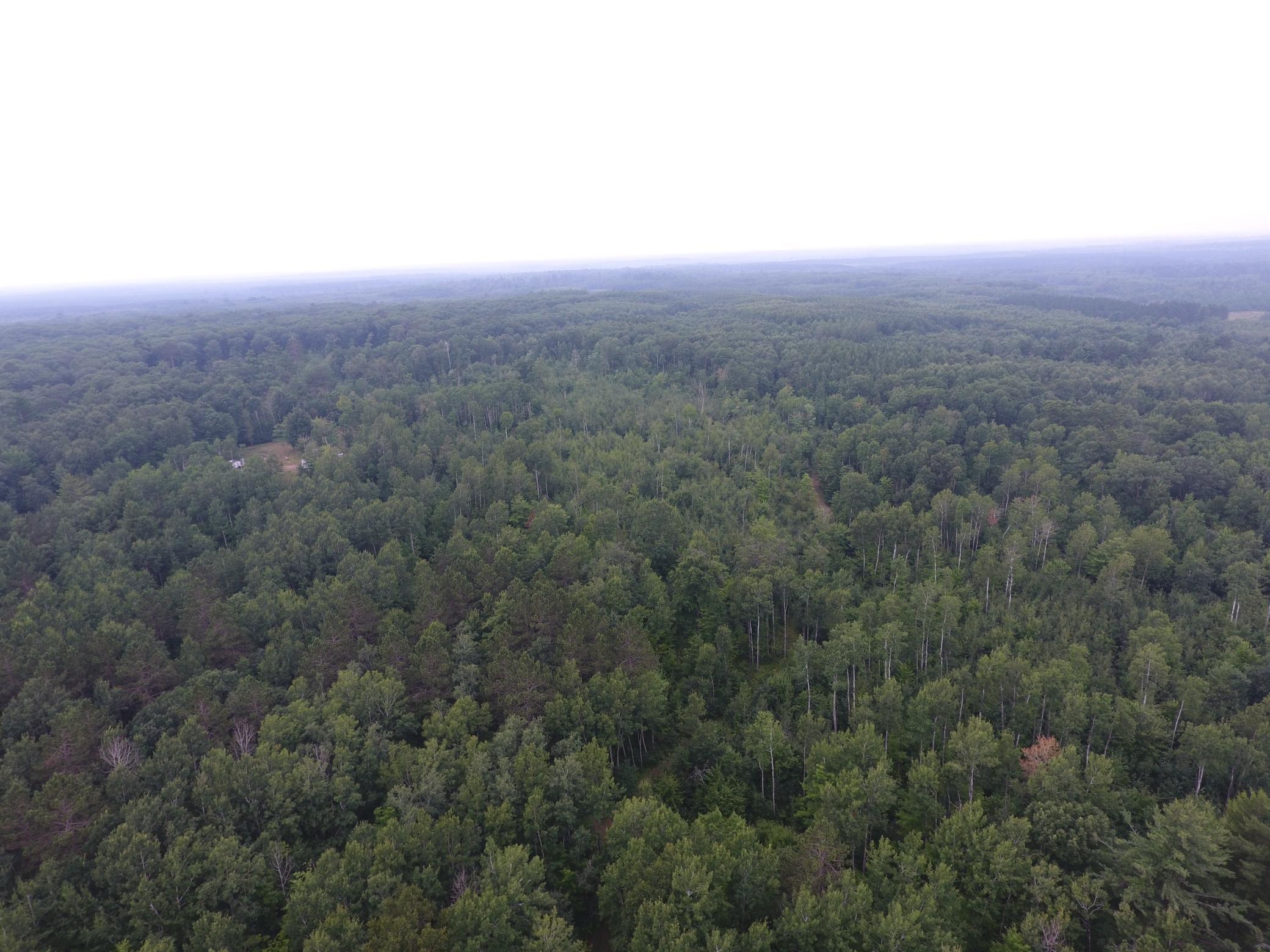 Tbd Doetch Lane Gordon, WI 54838 - Photo 25 of 93