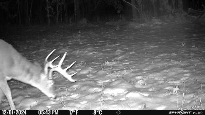 Tbd Doetch Lane Gordon, WI 54838 - Photo 26 of 93