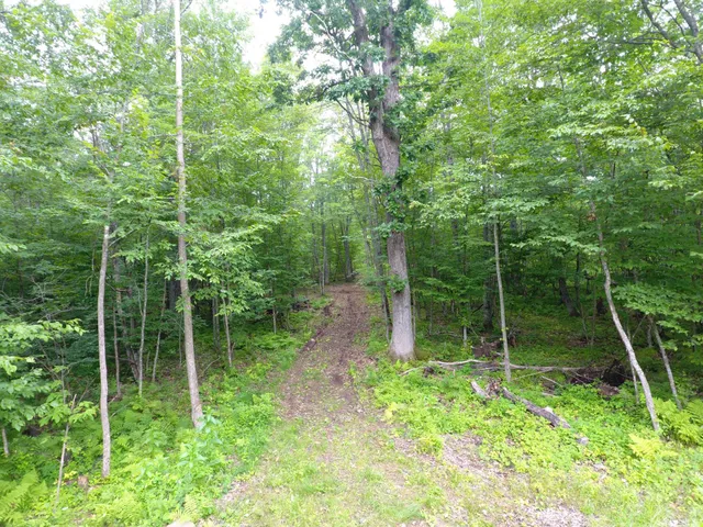 $399,900 | Tbd Doetch Lane, Gordon, WI 54838