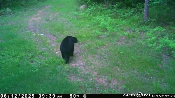 $399,900 | Tbd Doetch Lane, Gordon, WI 54838