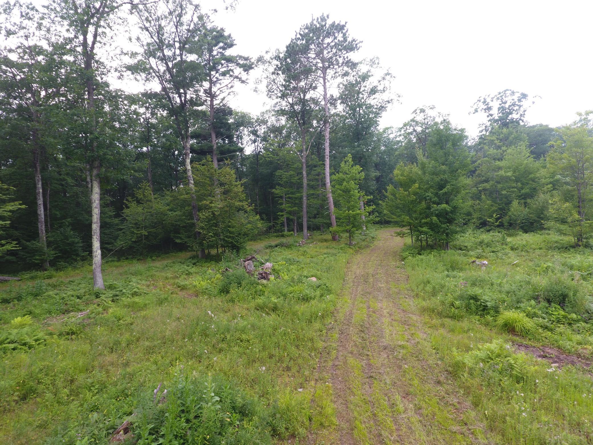 Tbd Doetch Lane Gordon, WI 54838 - Photo 29 of 93