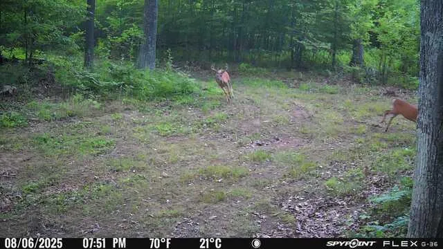 $399,900 | Tbd Doetch Lane, Gordon, WI 54838